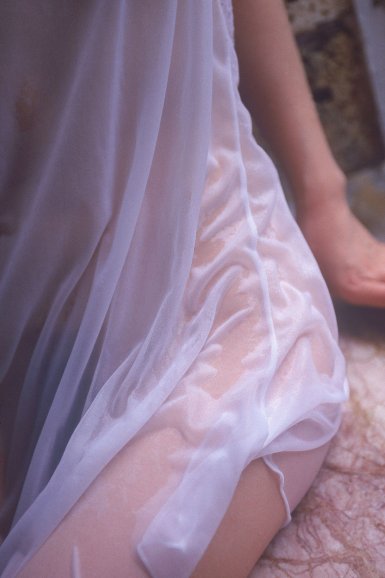 雨燕直播网页版