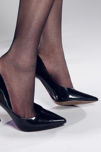 2011年12月12日河南地区肉毛鸡/鸡苗价格行情“雨燕直播APP”